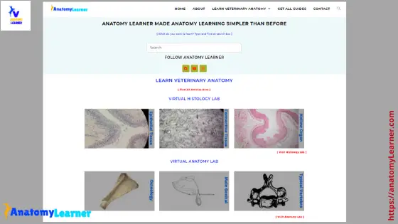 best veterinary anatomy learning platform