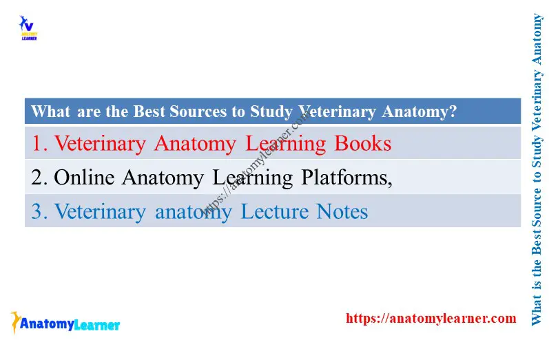 Best Source to Study Veterinary Anatomy